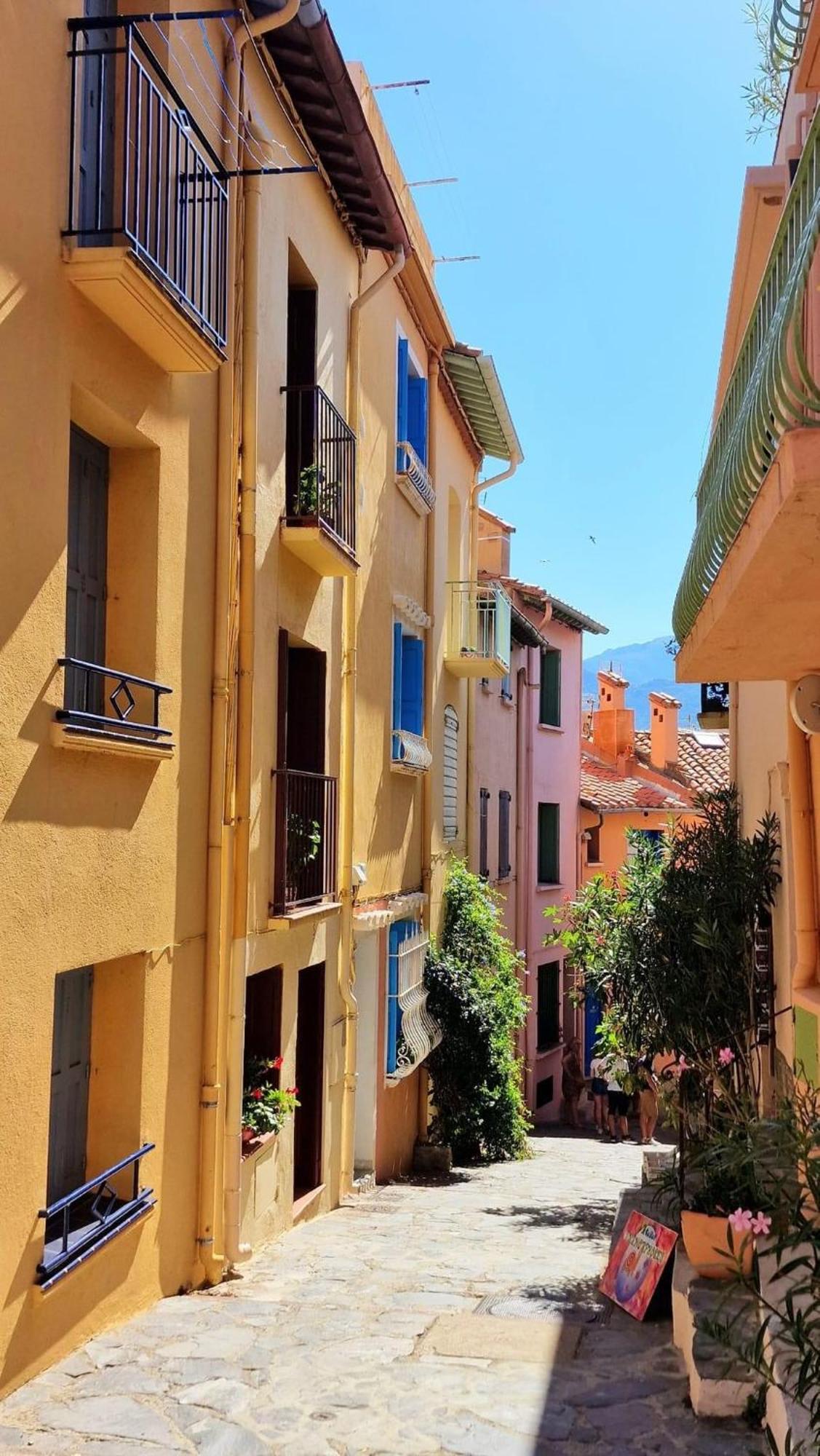 5Rbut1 - Maison Familiale Sur Deux Niveaux En Plein Coeur Du Centre Ville Collioure Eksteriør bilde