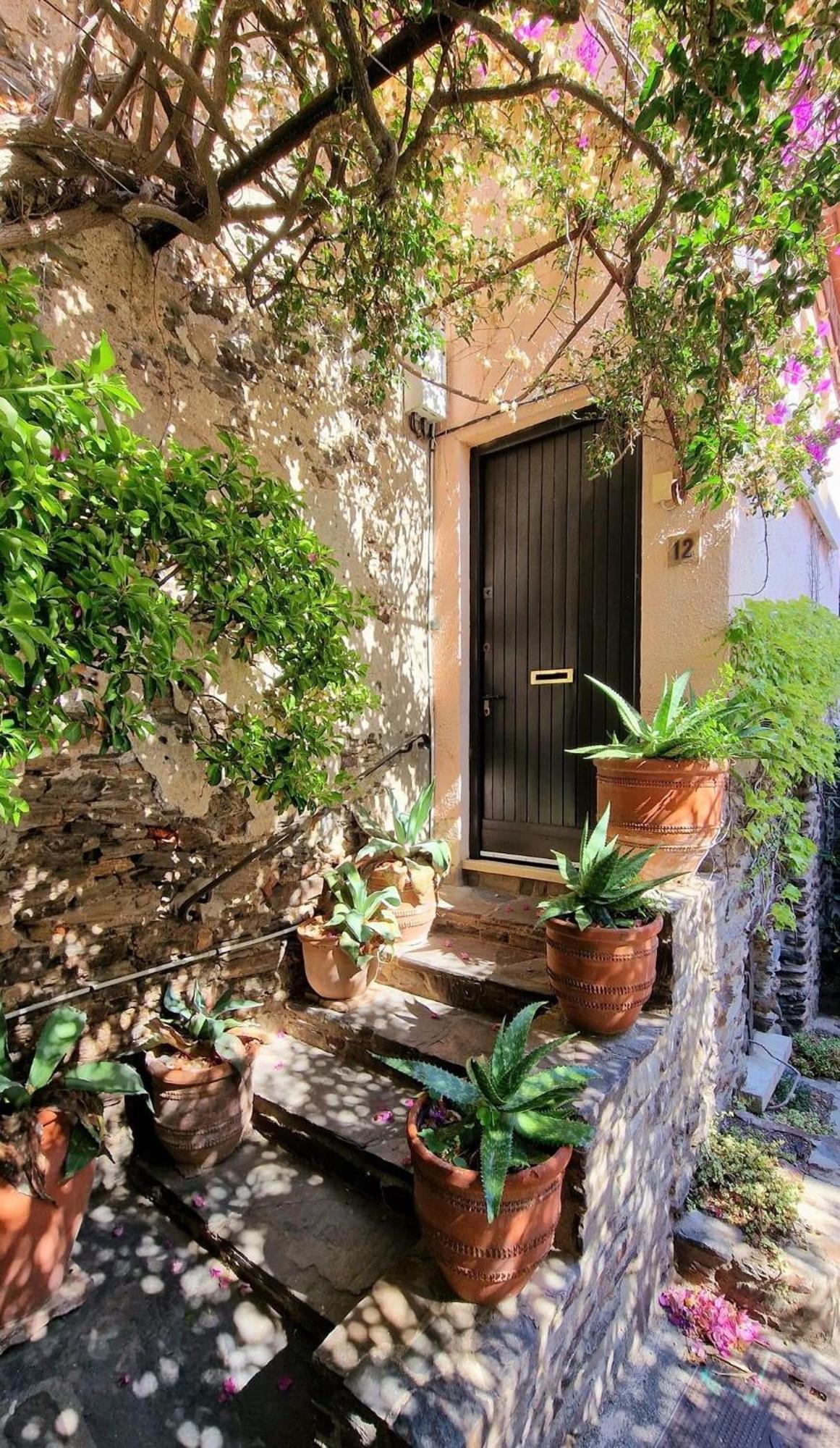 5Rbut1 - Maison Familiale Sur Deux Niveaux En Plein Coeur Du Centre Ville Collioure Eksteriør bilde